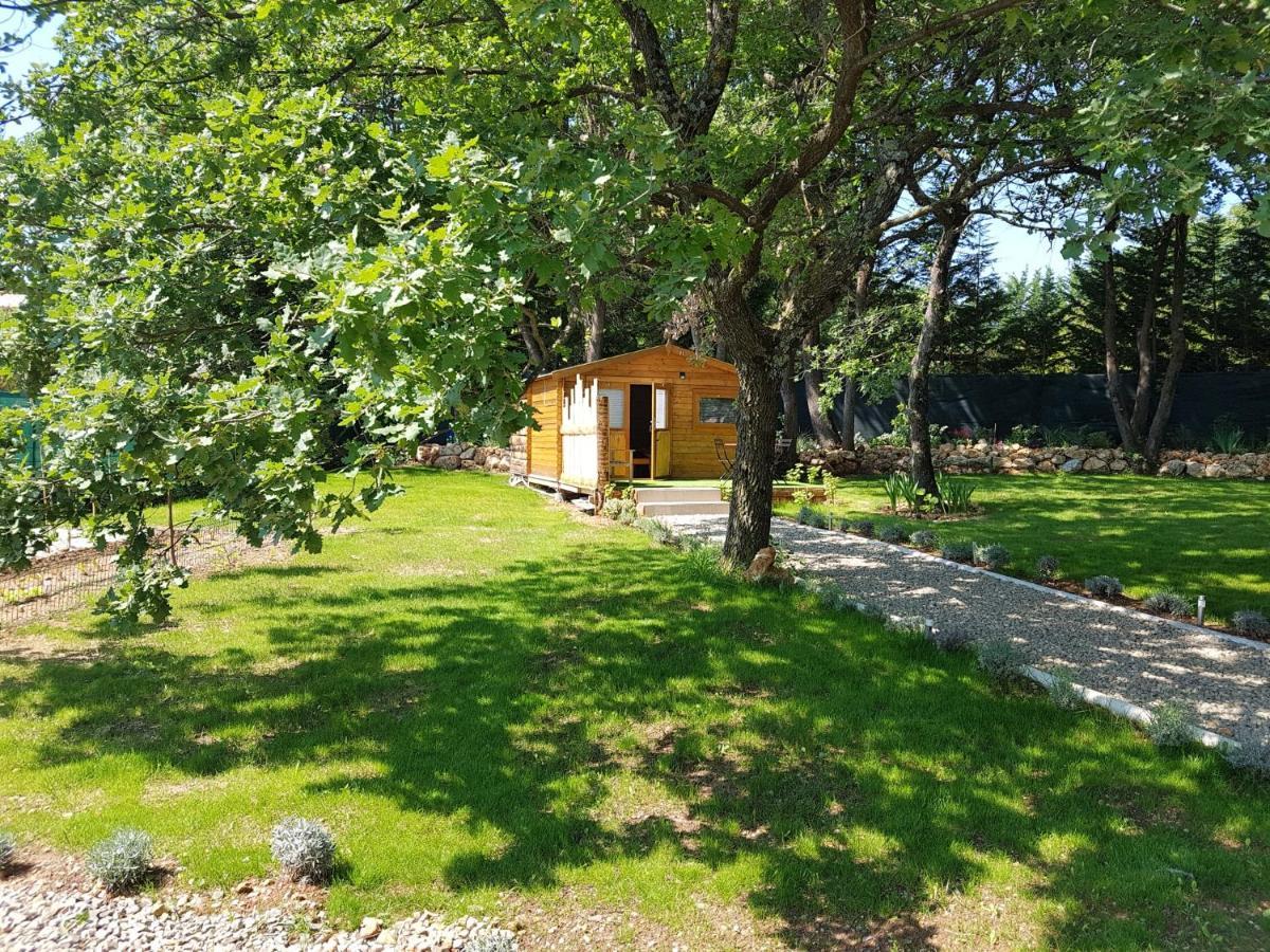 Les Lezards 2 Au Soleil Draguignan Bed and Breakfast Buitenkant foto