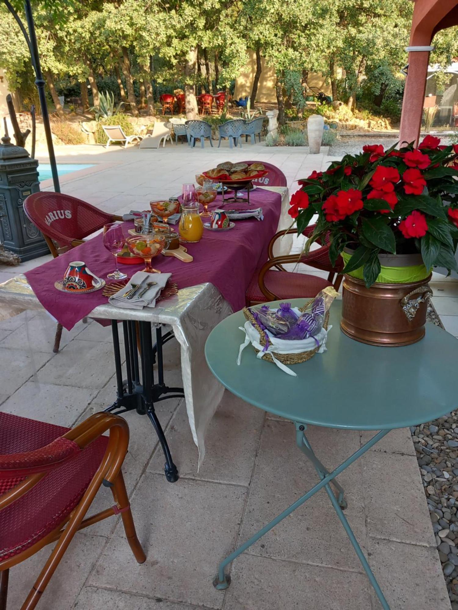 Les Lezards 2 Au Soleil Draguignan Bed and Breakfast Buitenkant foto